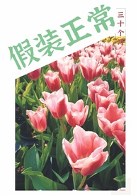 假装正经的叨叨