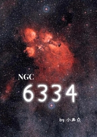 6334小声点小说讲的是什么